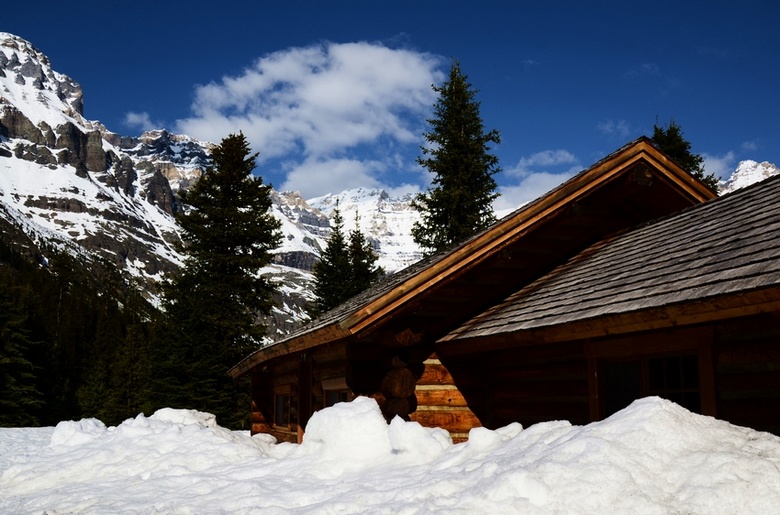 lake ohara70.jpg