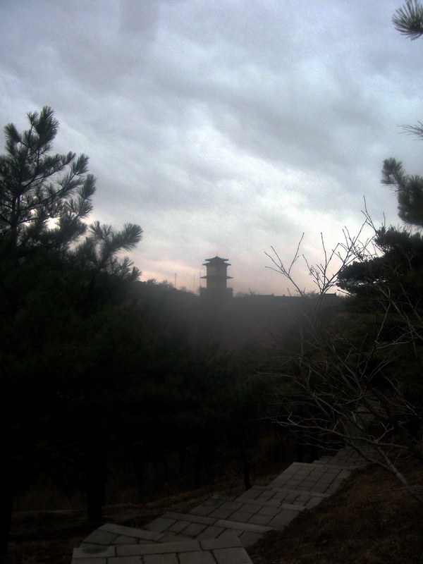 dscf0304.jpg