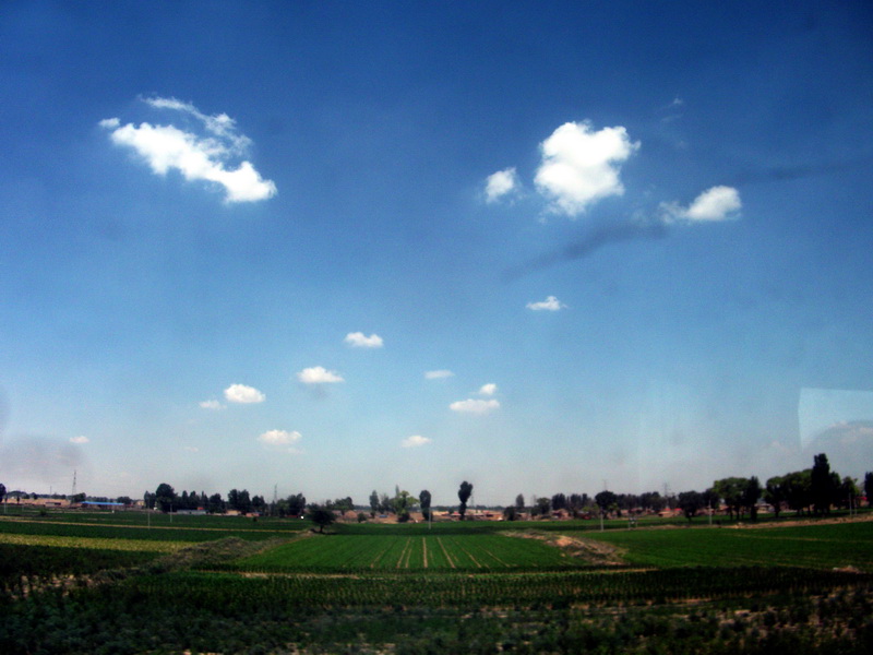 dscf0065.jpg