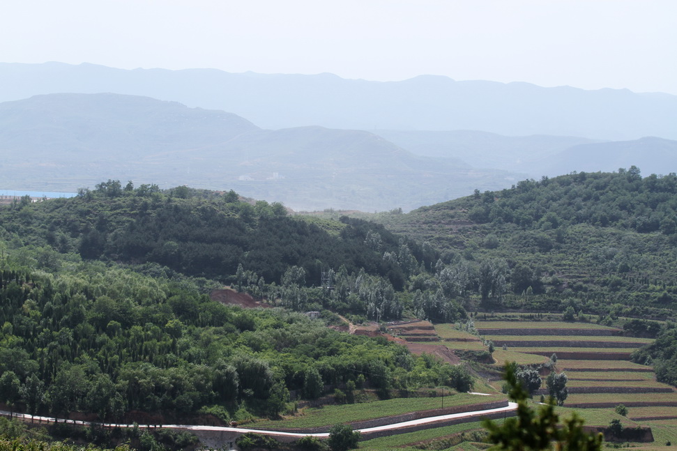 r9.jpg