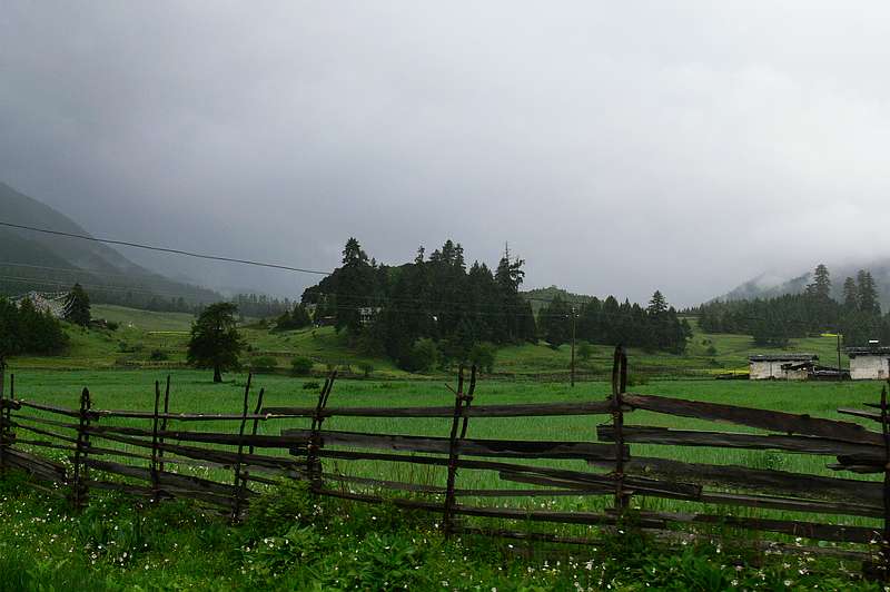 p1210684.jpg