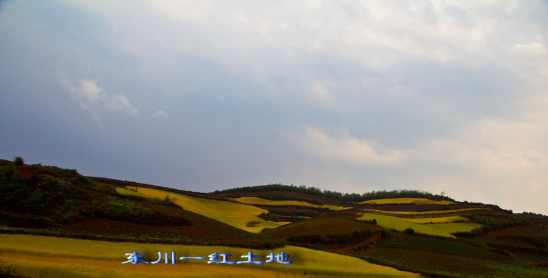 img_2804_СС.jpg