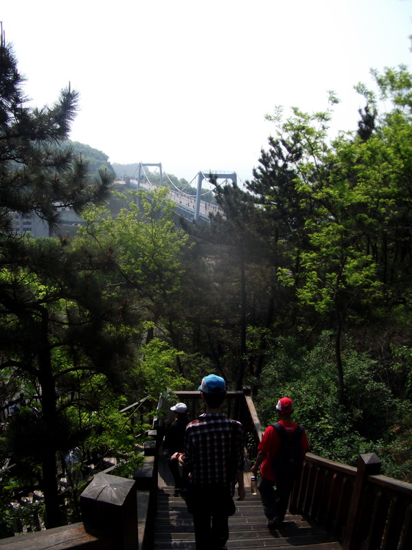 dscf0330.jpg