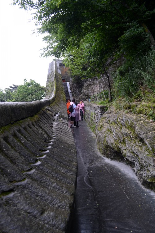 456 334_conew1.jpg