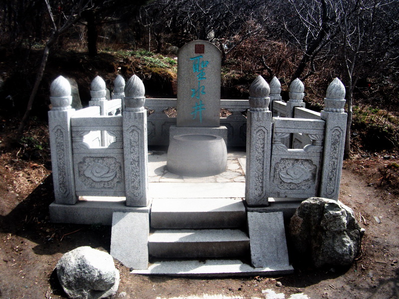 dscf0415.jpg