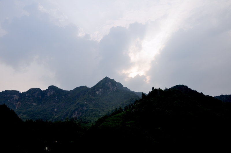 dsc_0630.jpg