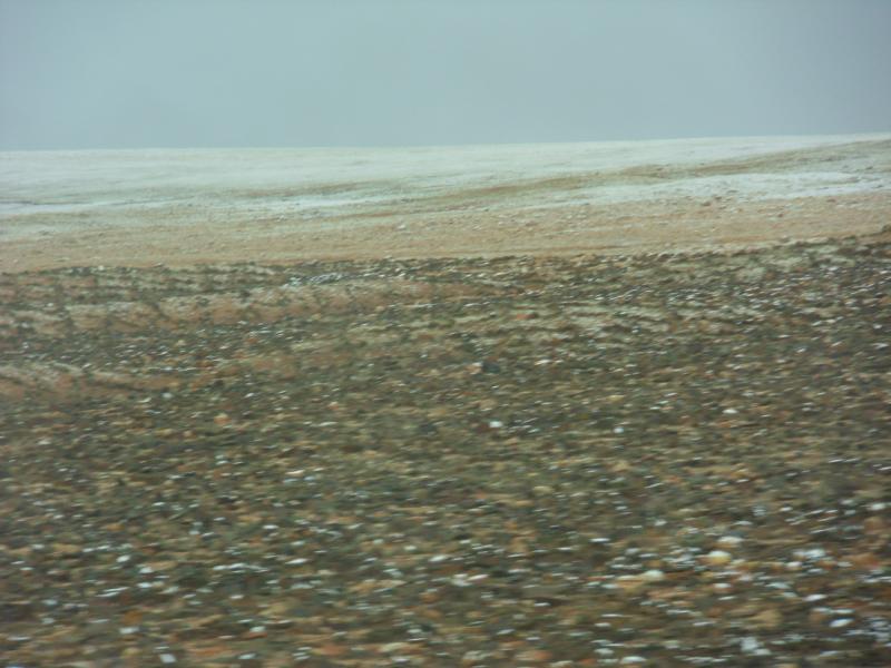 sdc10061.jpg