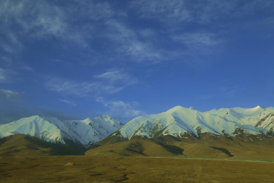 042a0117g.jpg