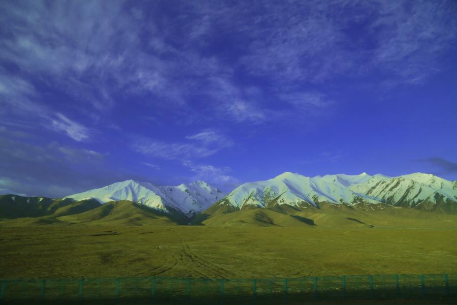 042a0116g.jpg