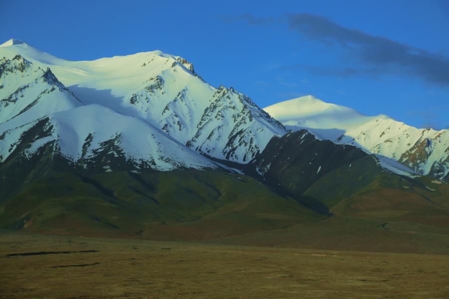042a0120g.jpg