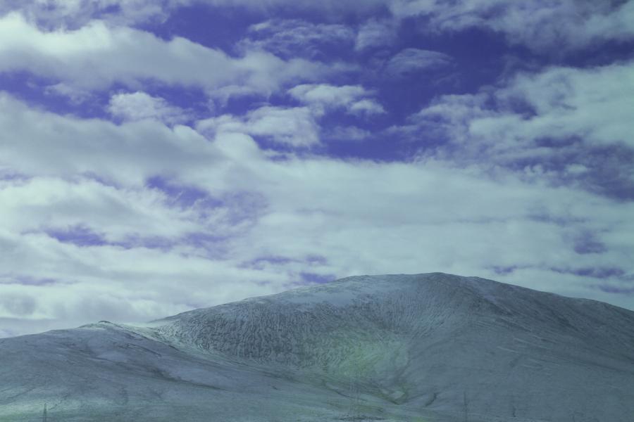 042a0155g.jpg