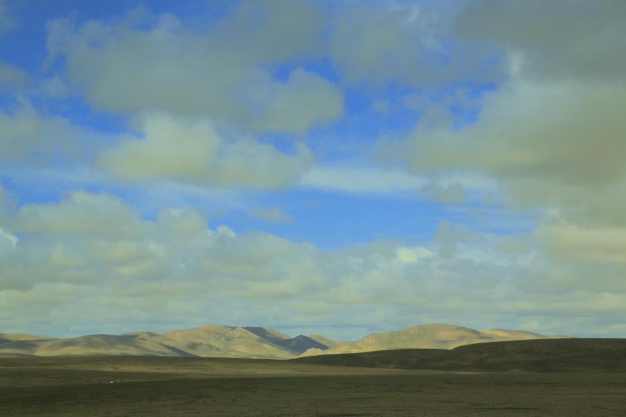 042a0202g.jpg