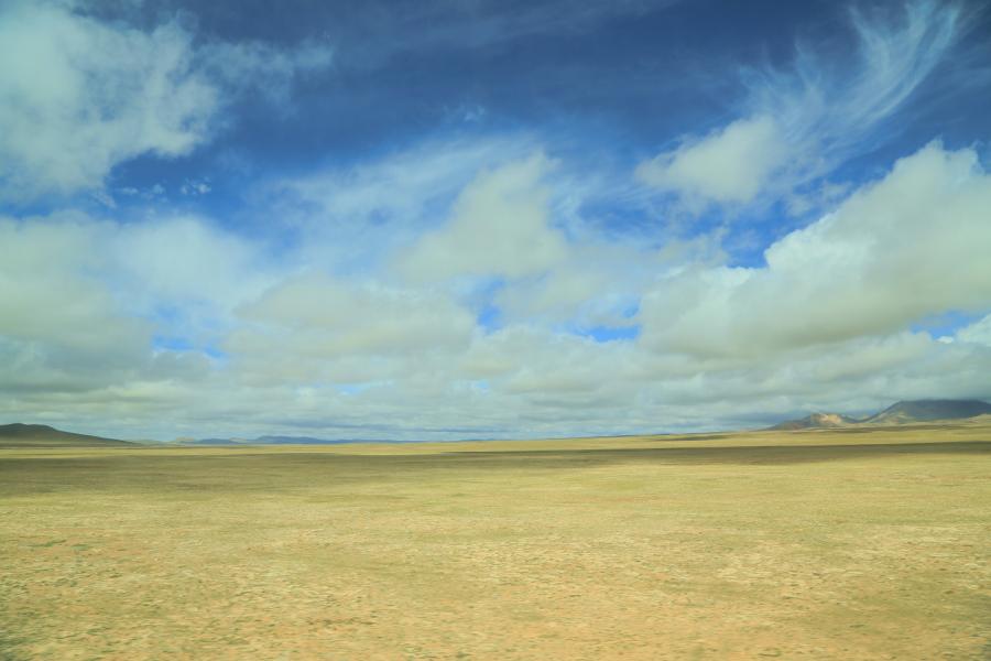 042a0192g.jpg