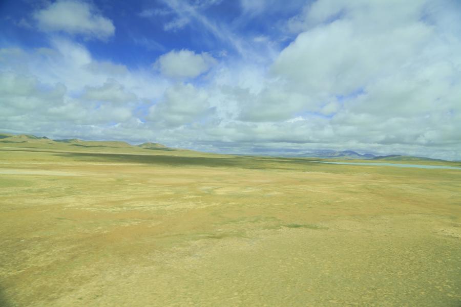 042a0211g.jpg