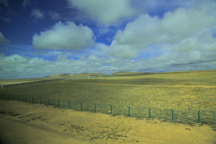 042a0207g.jpg