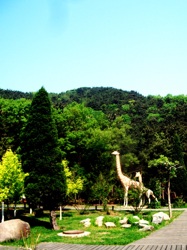 dscf0349.jpg