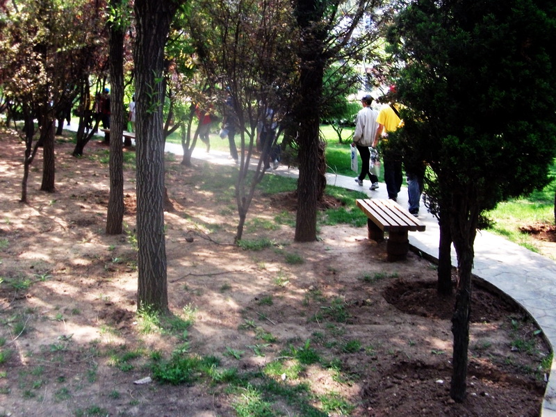 dscf0344.jpg