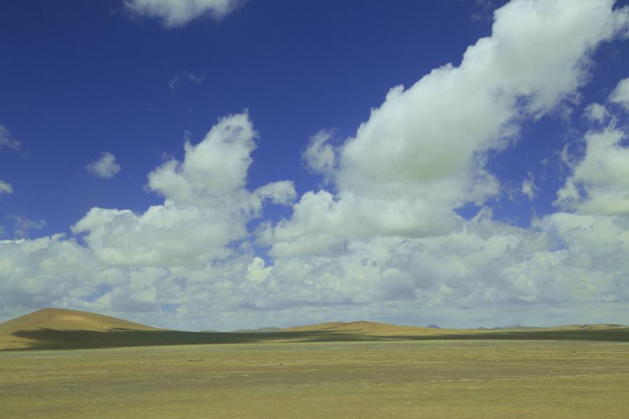 042a0230g.jpg