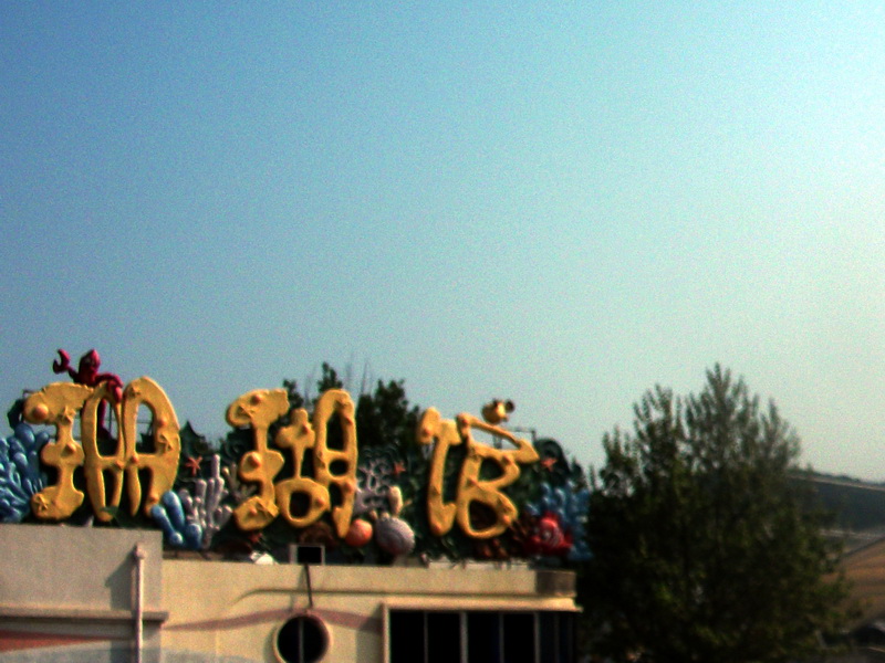 dscf0364.jpg