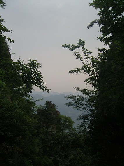 δ9.jpg