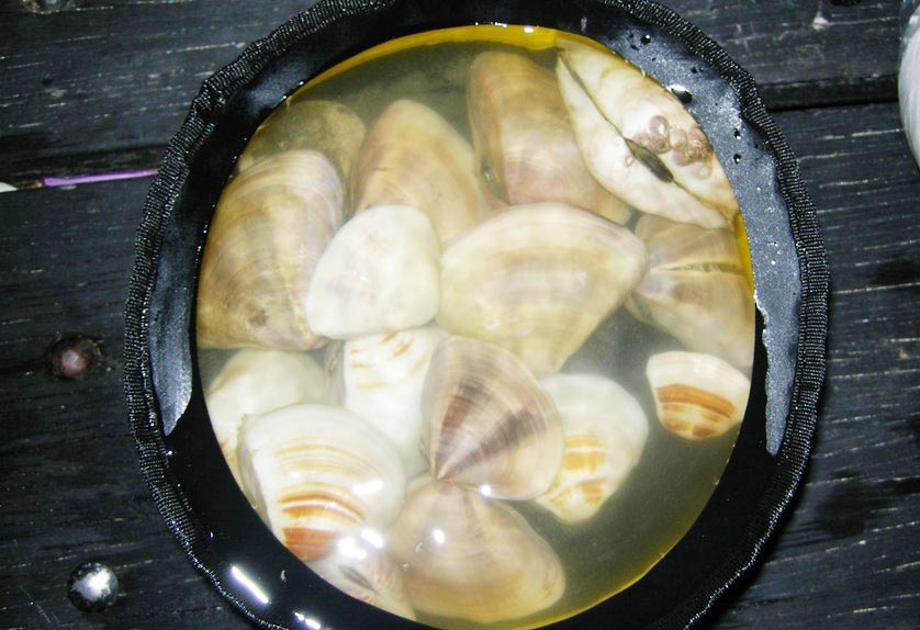 2012623146882293a.jpg