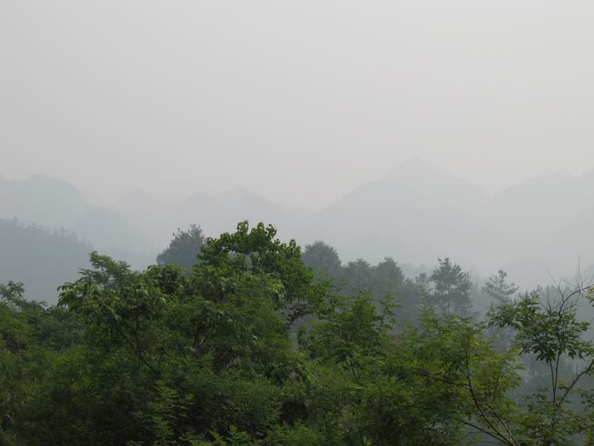 20120623 022.jpg