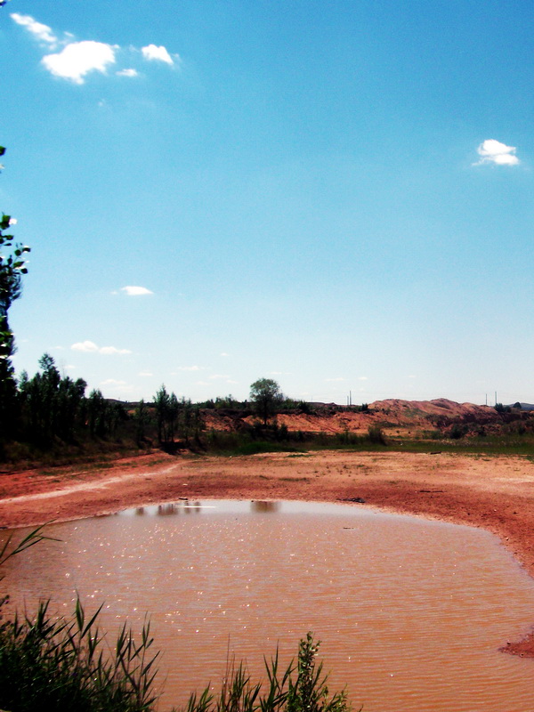dscf0095.jpg