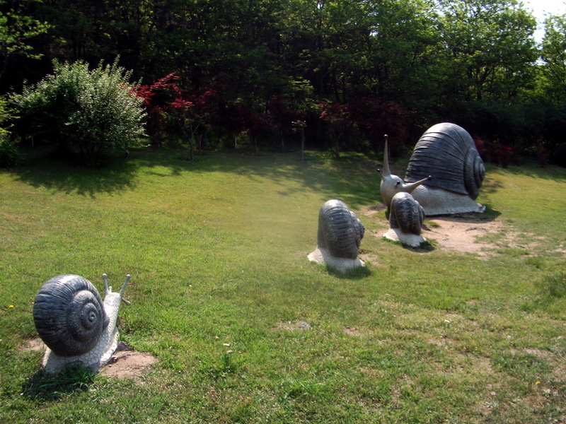 dscf0374.jpg