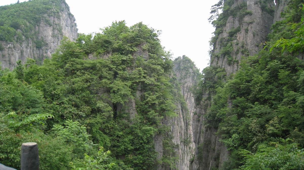 С Ƭ 097.jpg