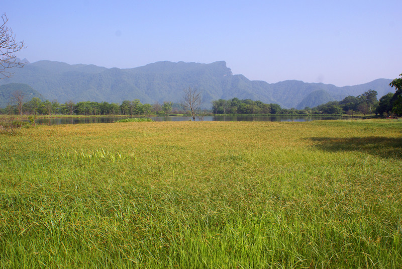 dsc03583_.jpg