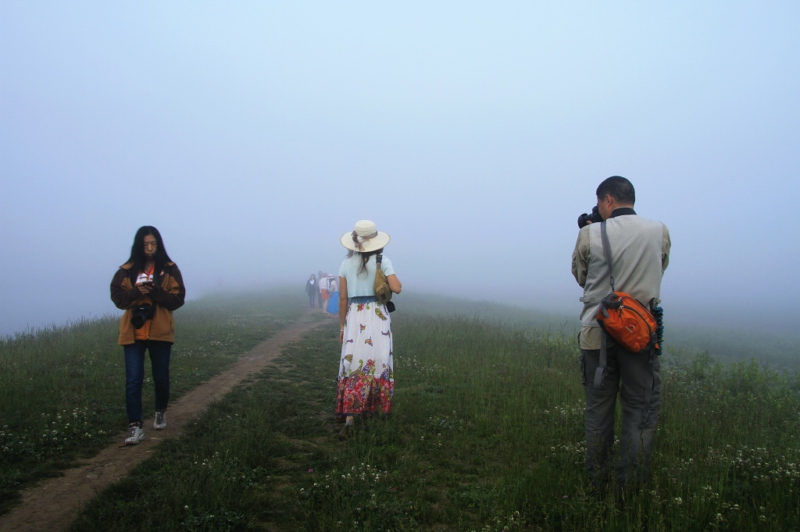 _mg_0041.jpg