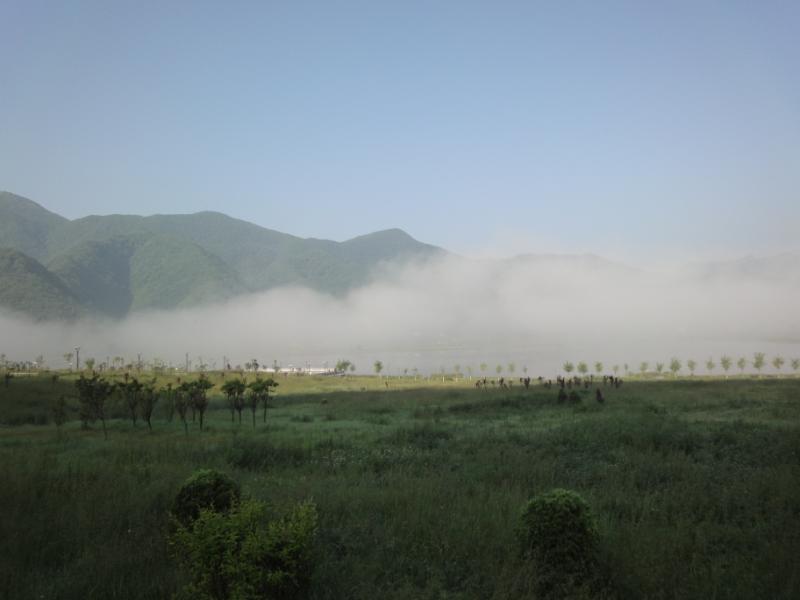 dsc05082.jpg