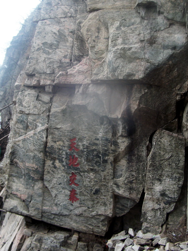 dscf0442.jpg