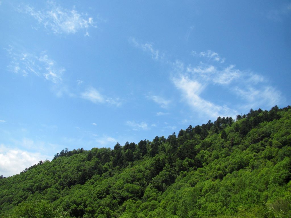 img_0045.jpg12.jpg