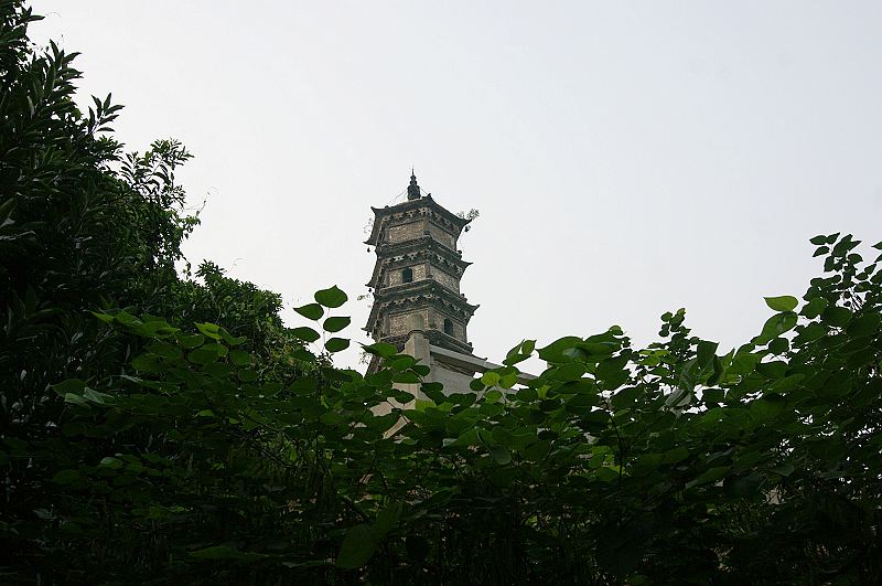 dsc01302.jpg