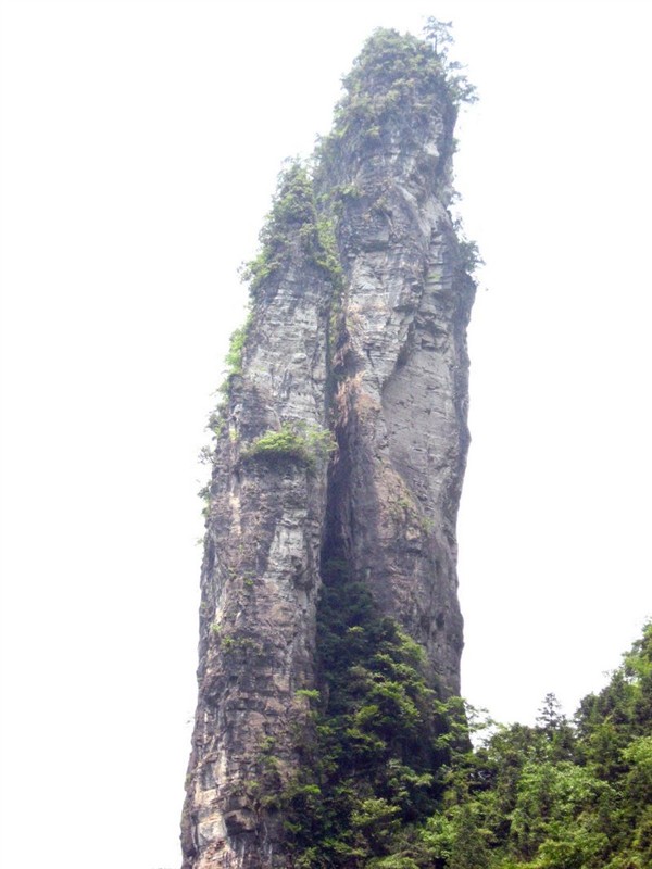 74.jpg