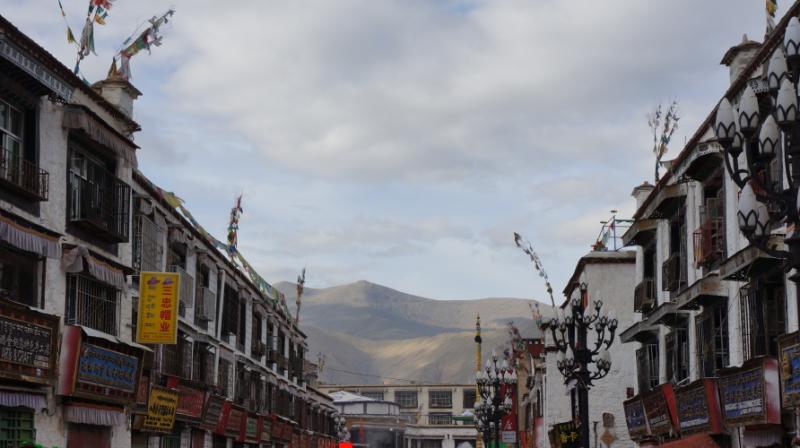 dsc01051.jpg