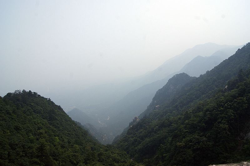 dsc01375.jpg