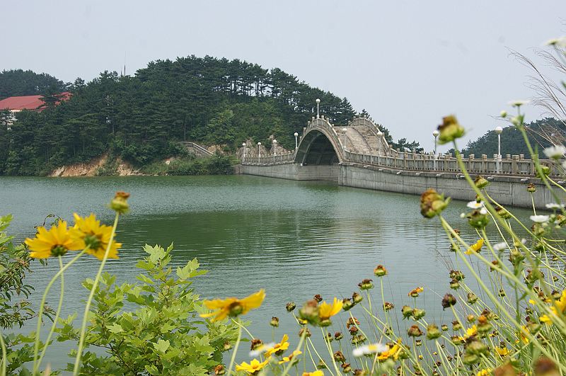 dsc01402.jpg