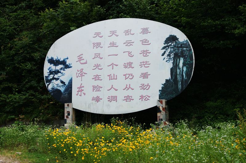 dsc01515.jpg