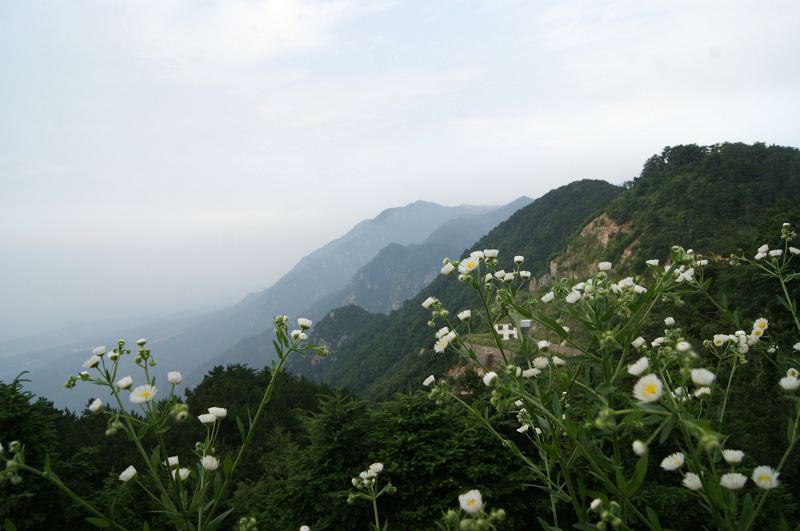 dsc01546.jpg