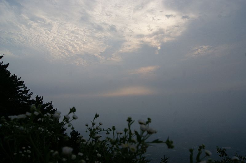dsc01547.jpg