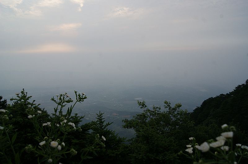 dsc01548.jpg