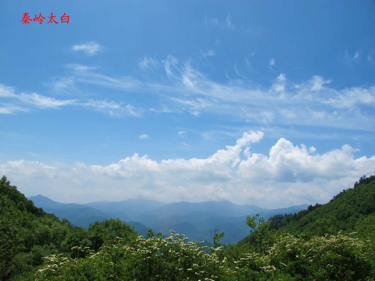 a9.jpg
