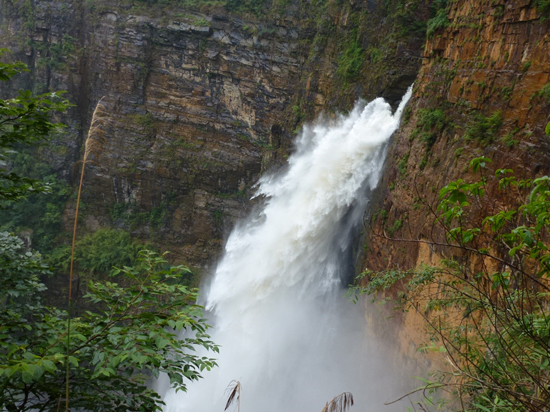 p1060906_.jpg