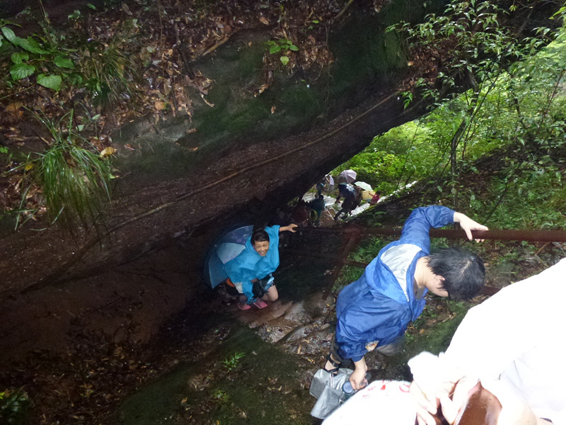 p1060964_.jpg