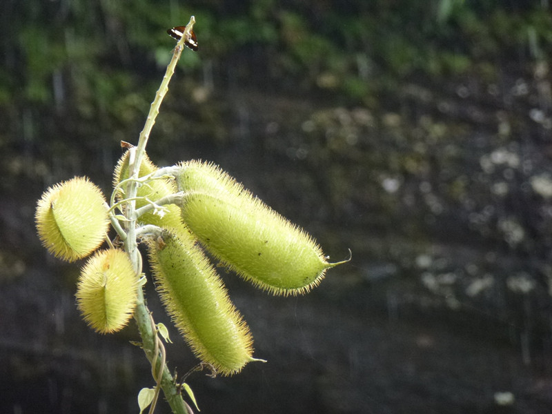 p1070055__.jpg