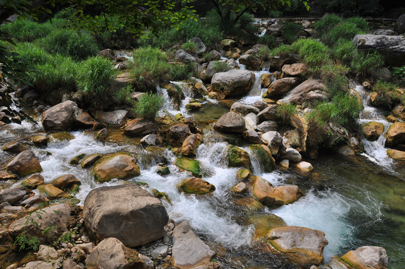 dsc_0307.jpg