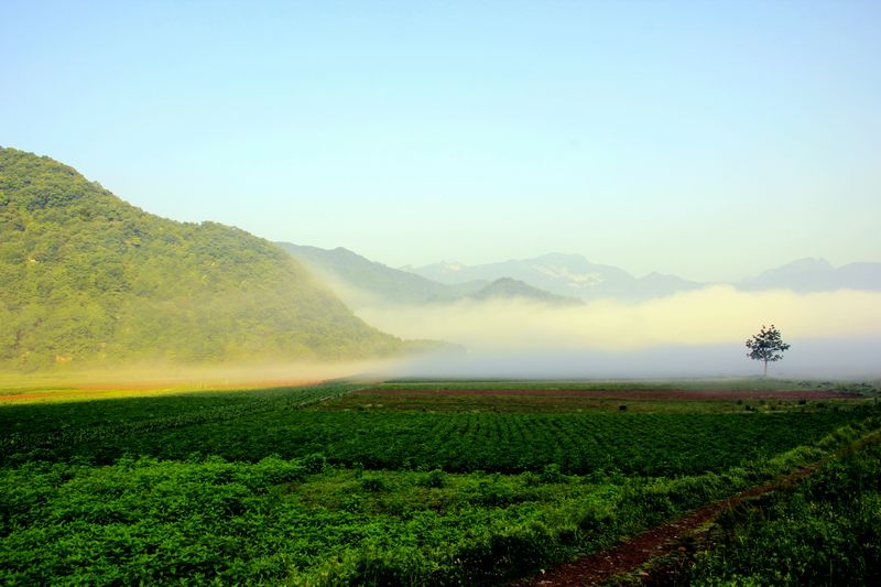 _mg_2798.jpg