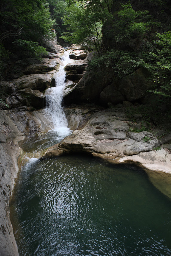 img_8649.jpg